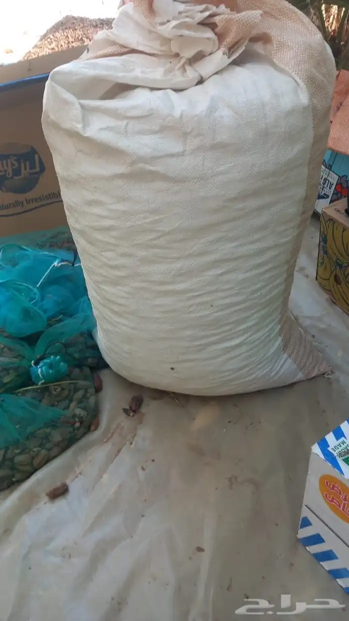 تمر حق حلال مع توصيل موقع ينبع بدر 2