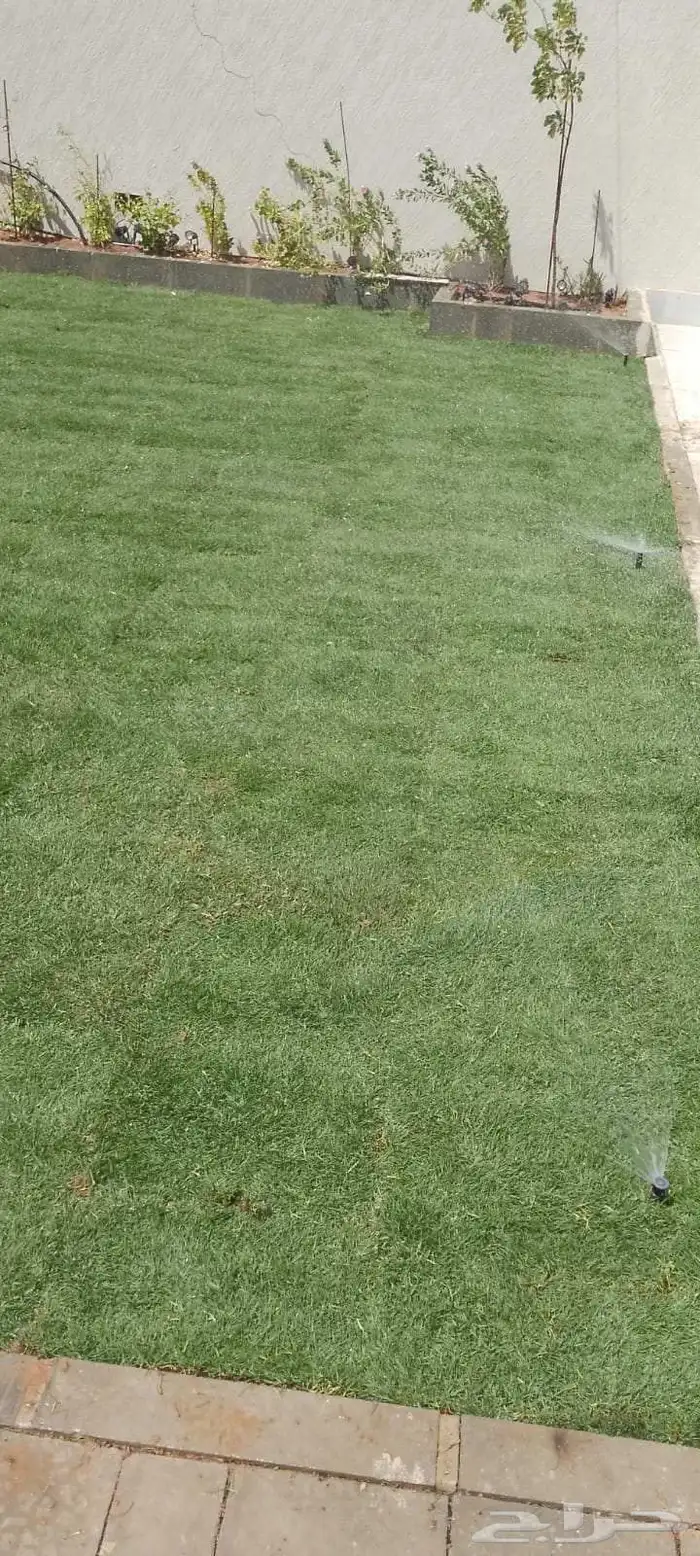 تركيب ثيل طبيعي 4