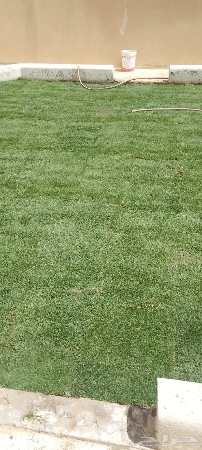 تنسيق حدائق القصيم 4