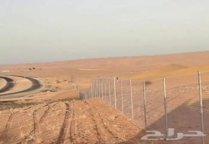 مقول شبوك بجميع الموصفت وزرعت نخيل 4