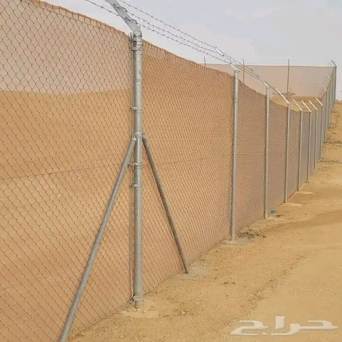 زراعه نخيل عربي واشنطني واعمال الشبوك وتوريدها 8