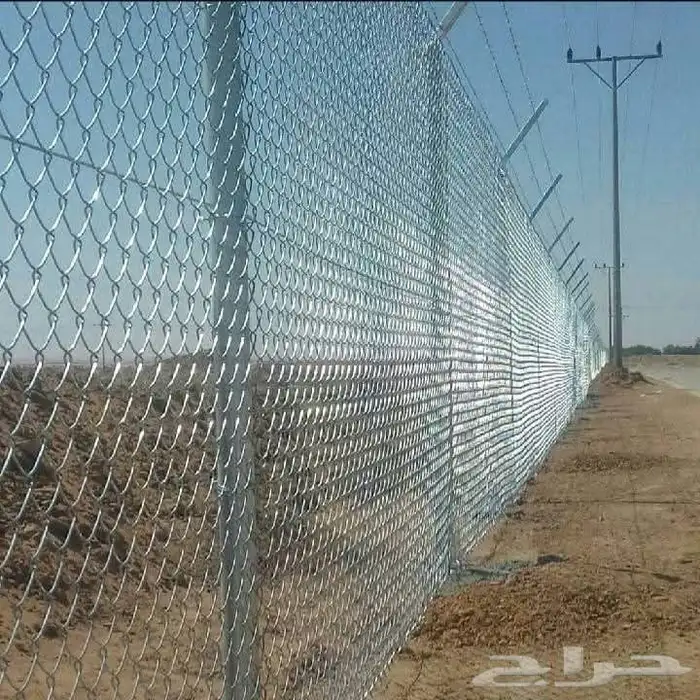 شبوك ونخيل وزيتون 2