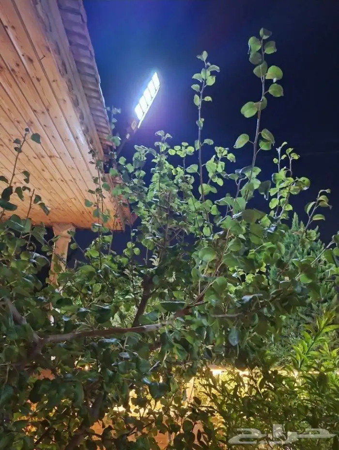 كشاف طاقه شمسية 1800w واط دفع عند الاستلام 6