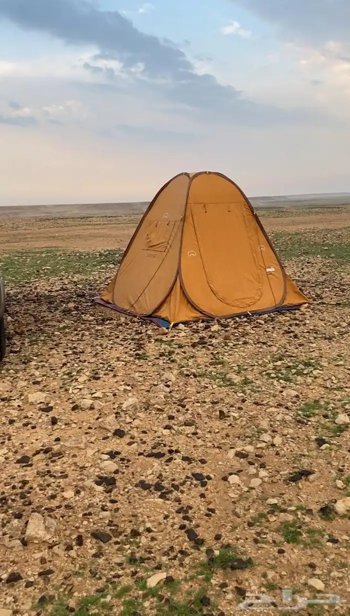 خيمه الشقرديه القاضي 0