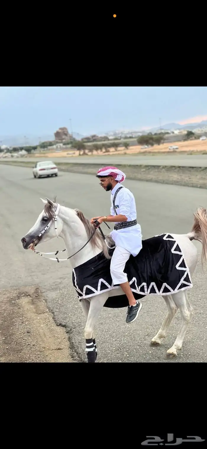 الطايف وادي ليه 4