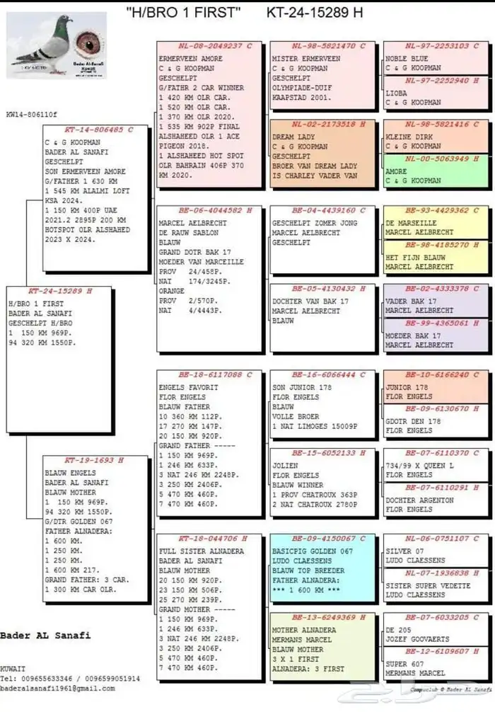 زاجل ابطال بشهايد 2