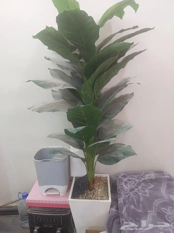 للبيع اثاث شاشه ومكيف وفرن شويه واغراض 13