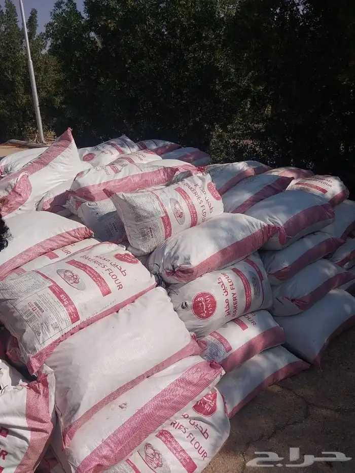 تمر حلال تمر نظيف جدا 0