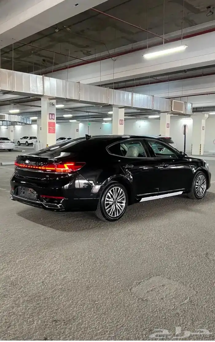 كادينزا 2021 2