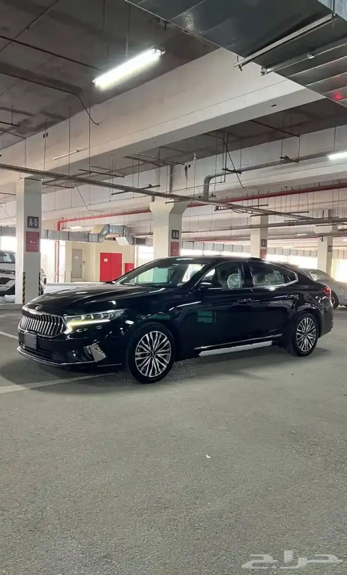 كادينزا 2021 1