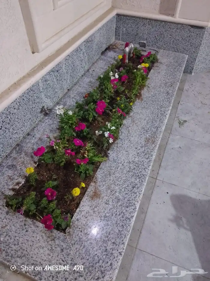 تنسق حدائق وشبكه الرأي 3