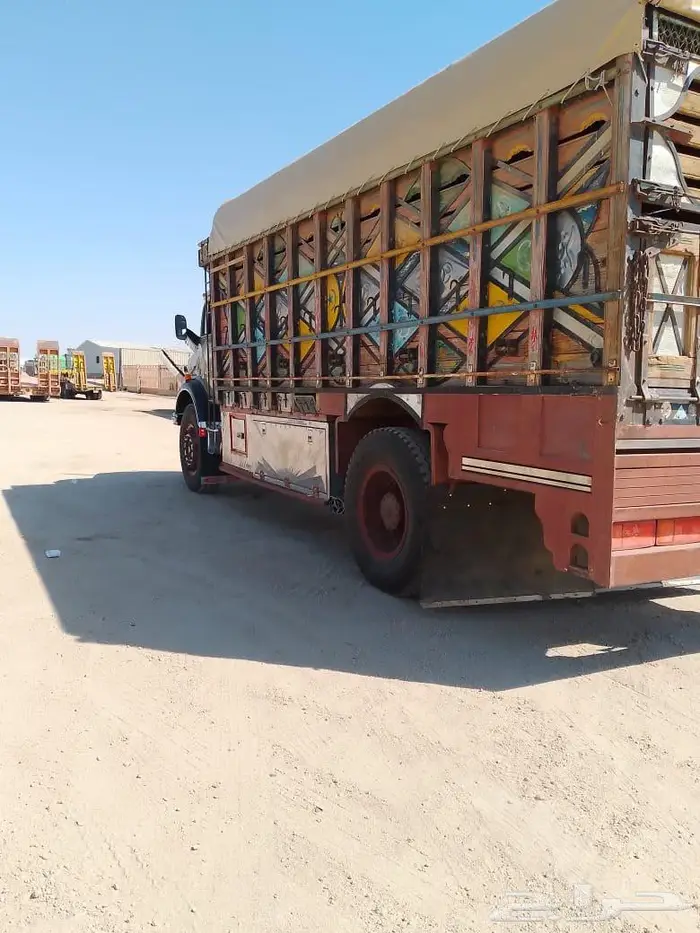 عايدي 82 شاص اساس 1