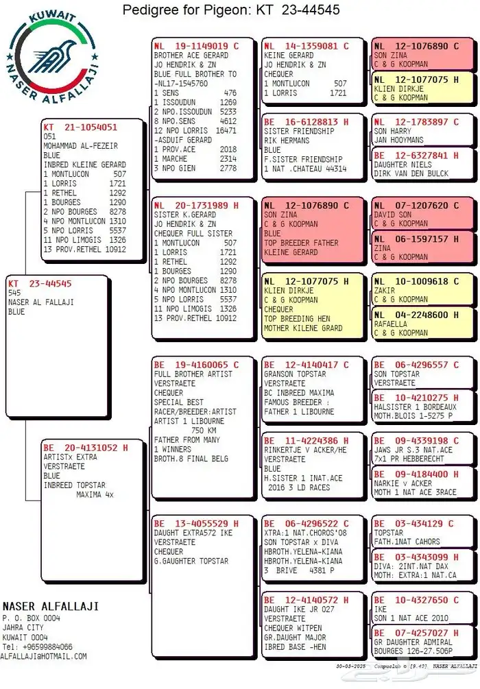 زاجل ابطال بشهايد 0