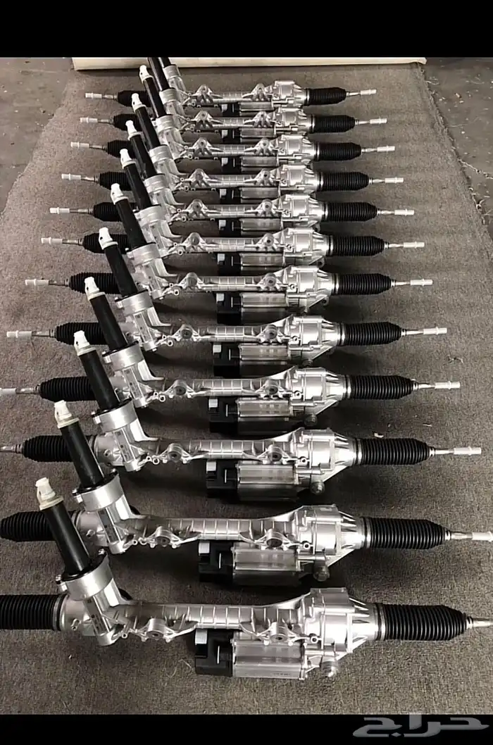 دودة دركسون 3