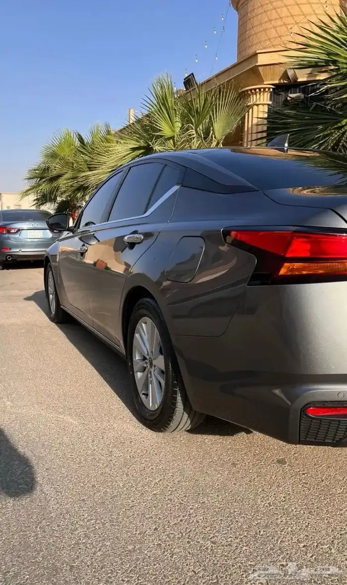 التيما2024 7