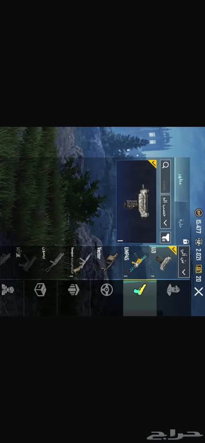 حساب ببجي 12