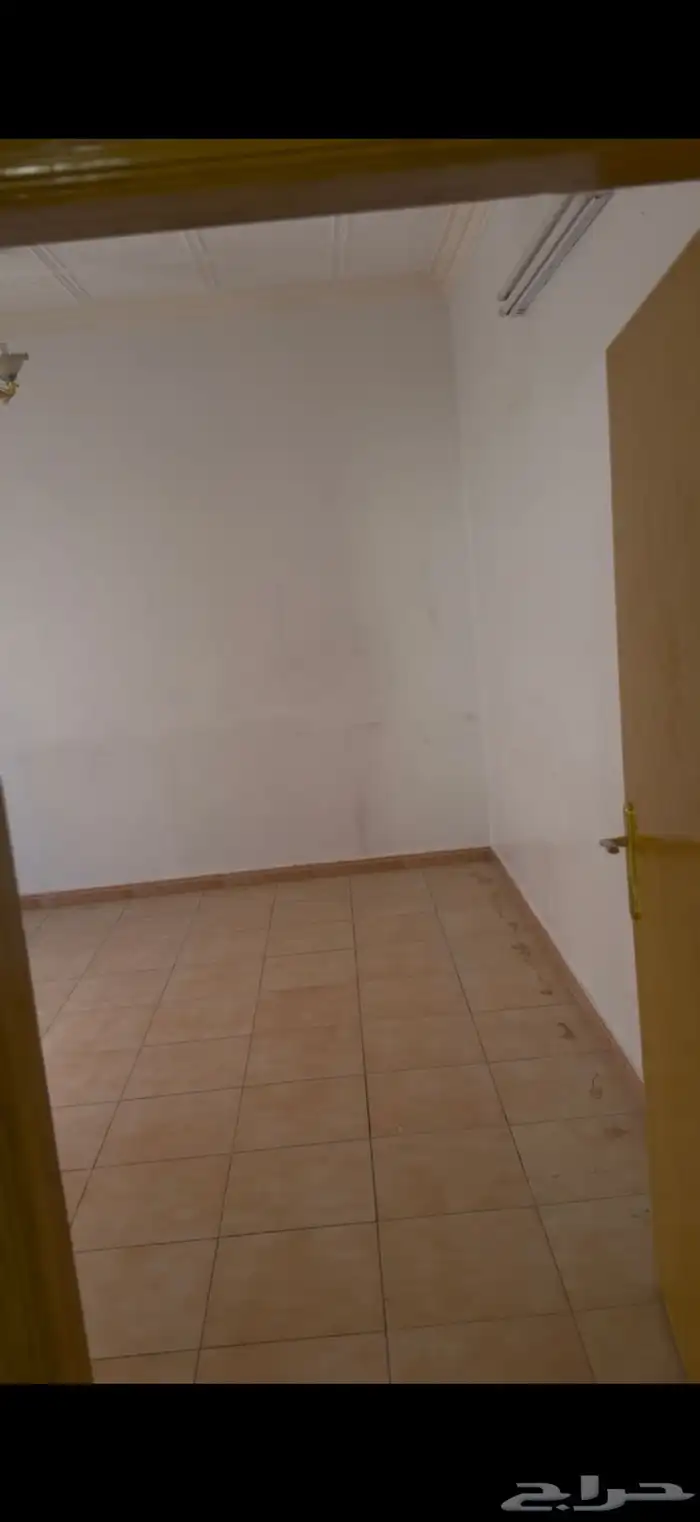 شقه الايجار 8