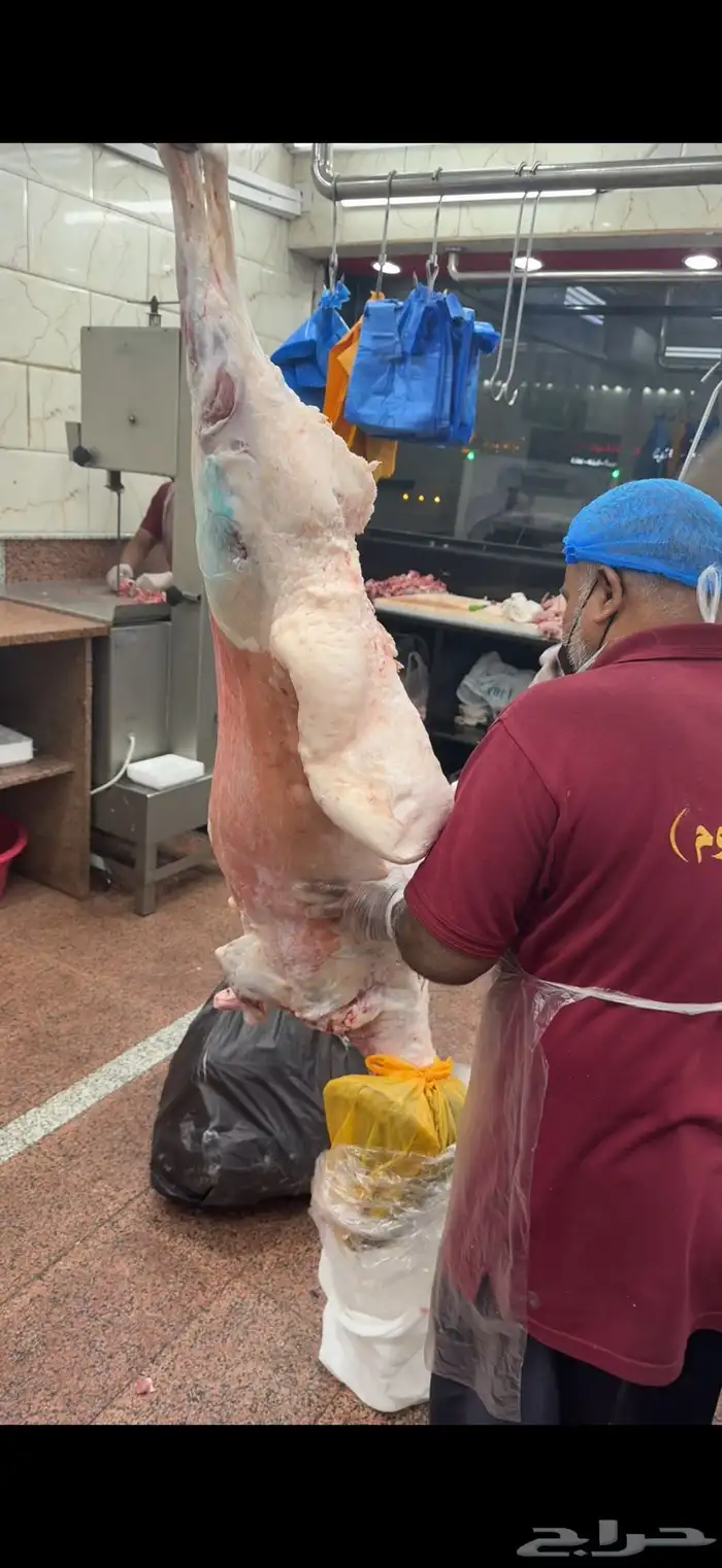 نعيمي بلدي بري مشروط 3