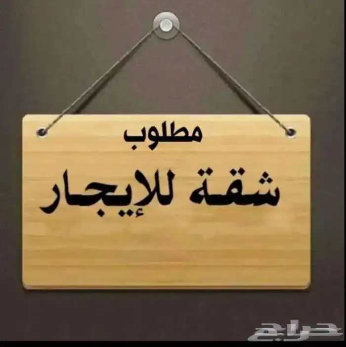 مطلوب شقة للإيجار 0