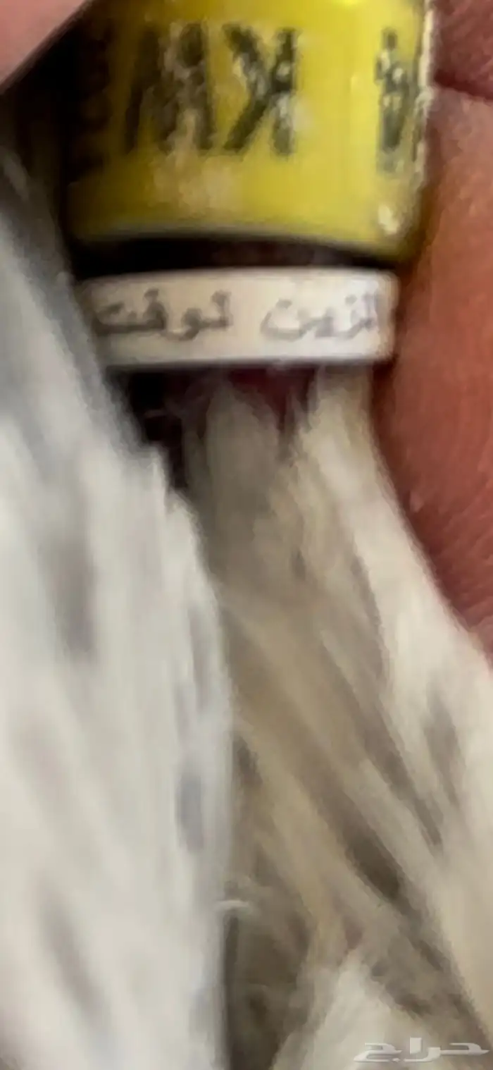حمام زاجل سباق 14
