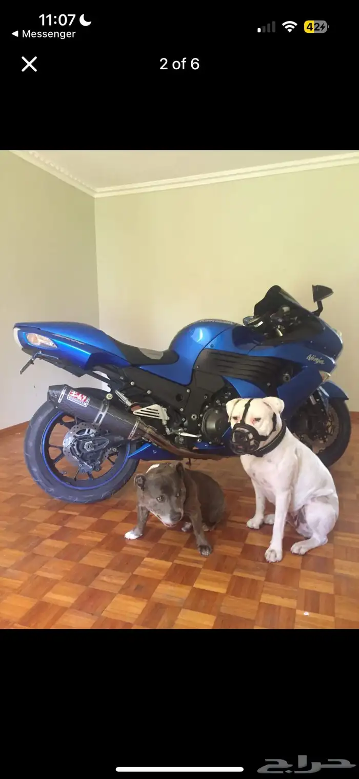 كوازاكي (شبيه الهايابوزا) zx14r 2007 3