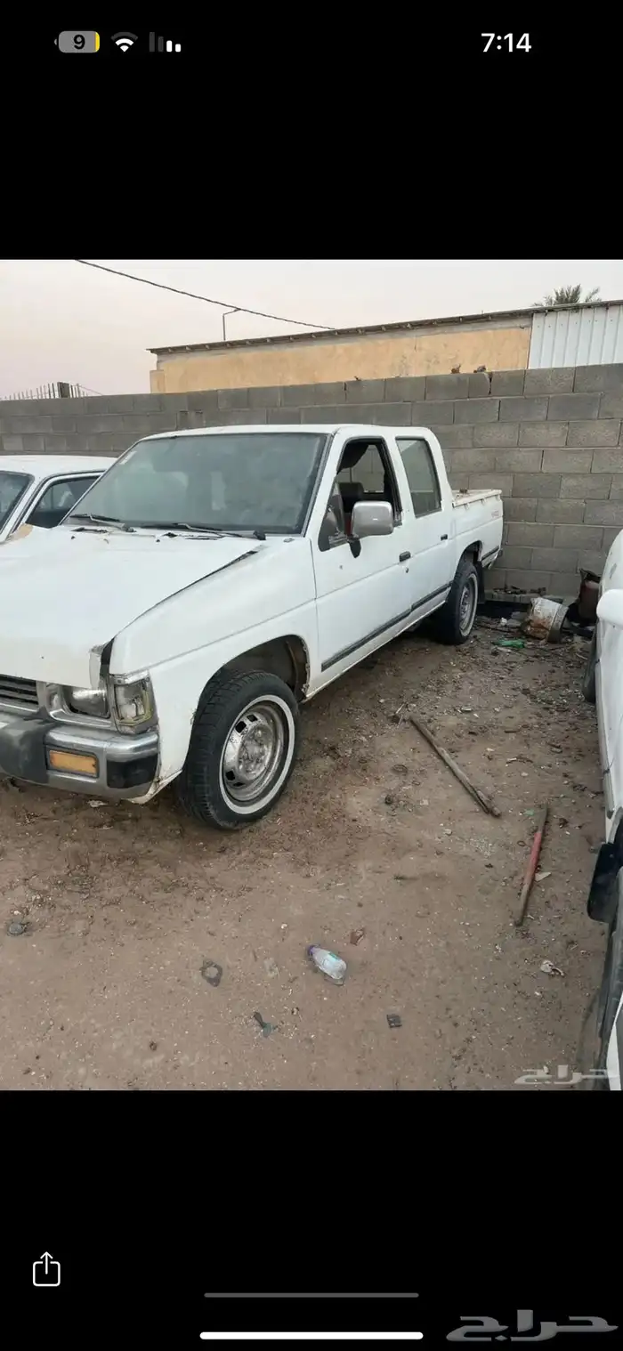 ددسن مسقطه 2