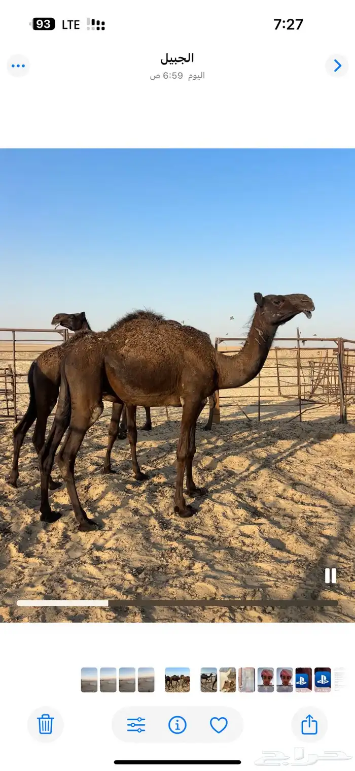 للبيع لقيه مجهم 0