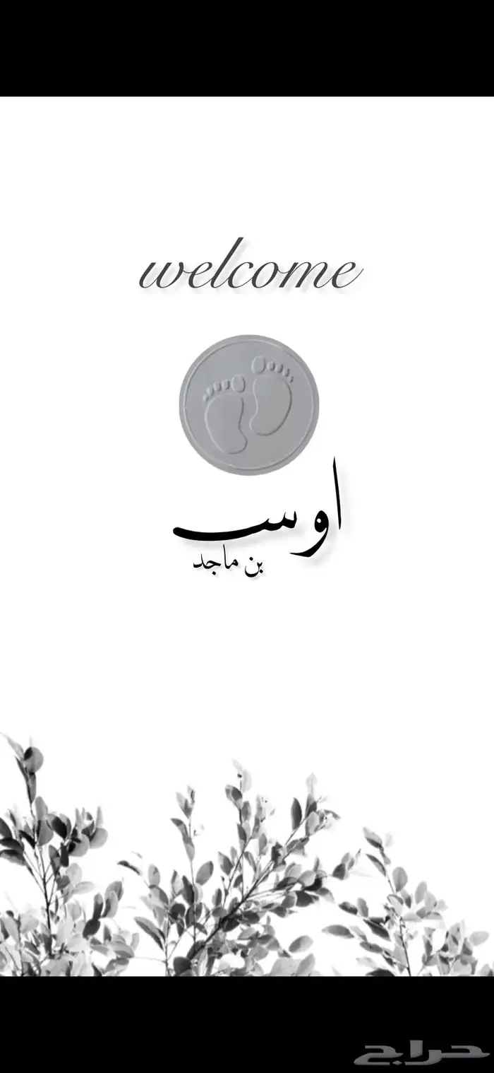 تصميم ثيمات احترافية 0