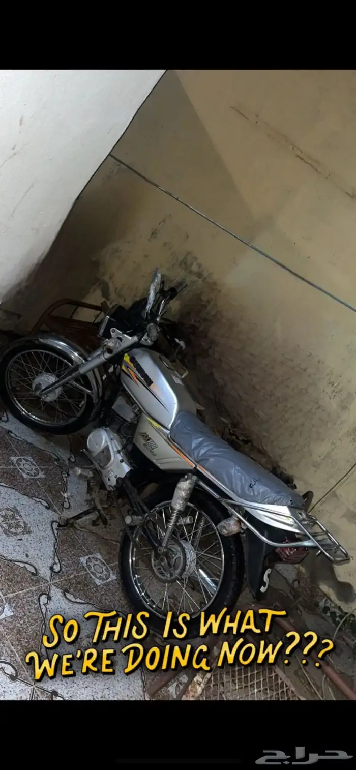 دباب سوزوكي الأصلي على السوم 0