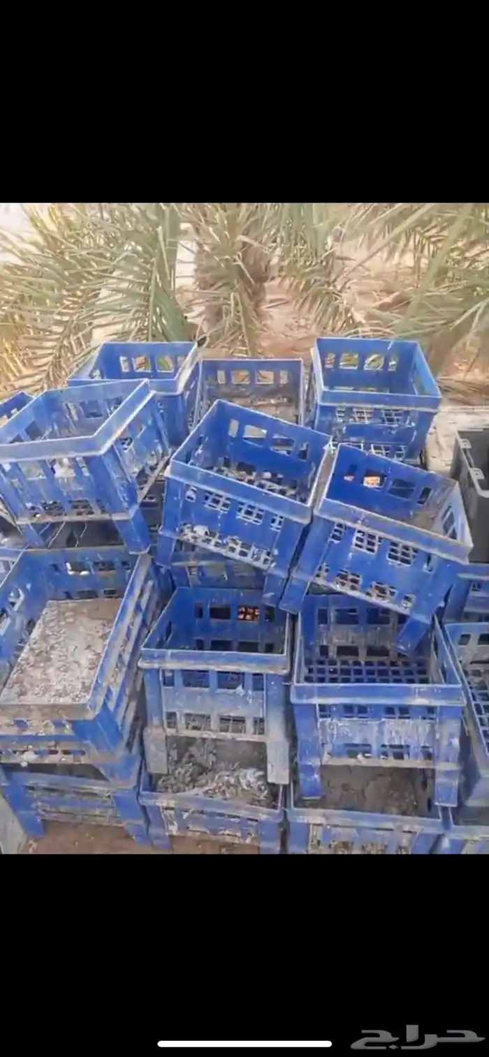 سقايات وشبوك 1