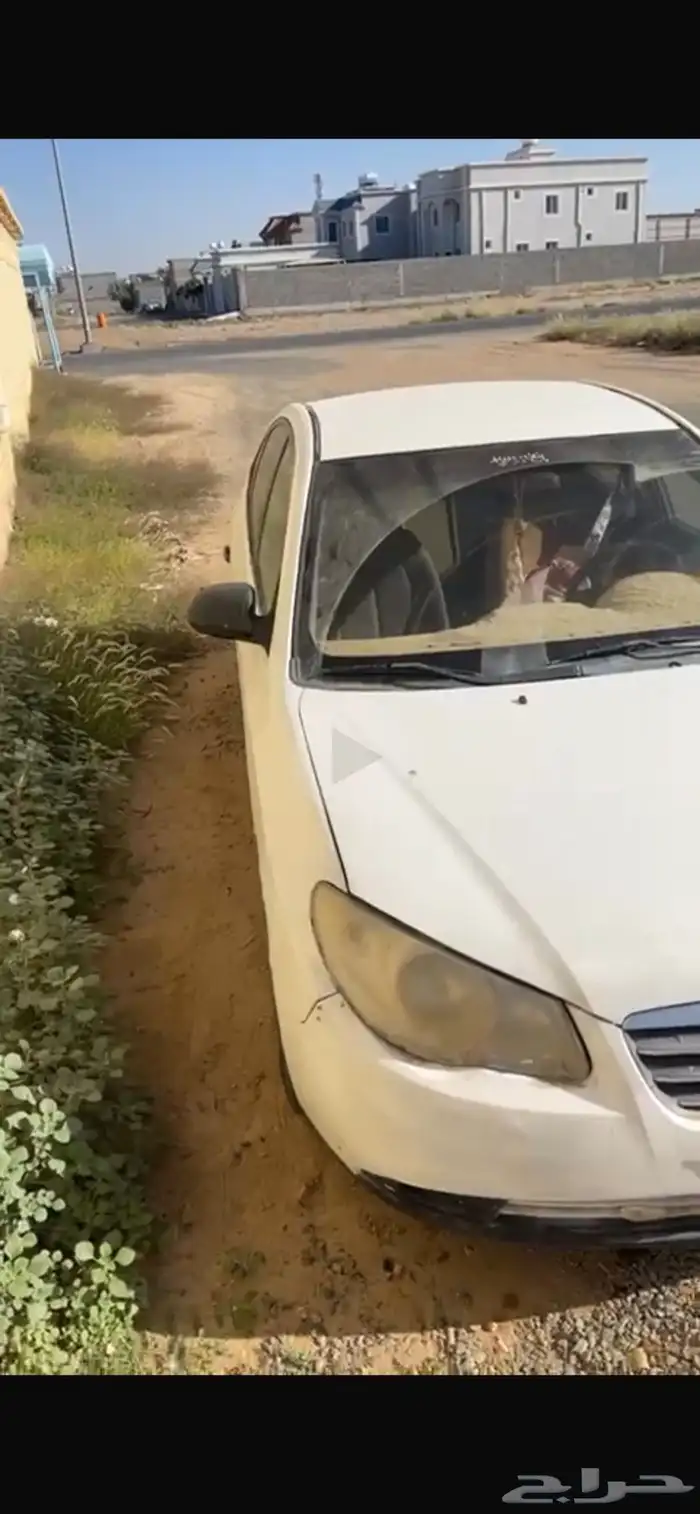 النترا 2008 1