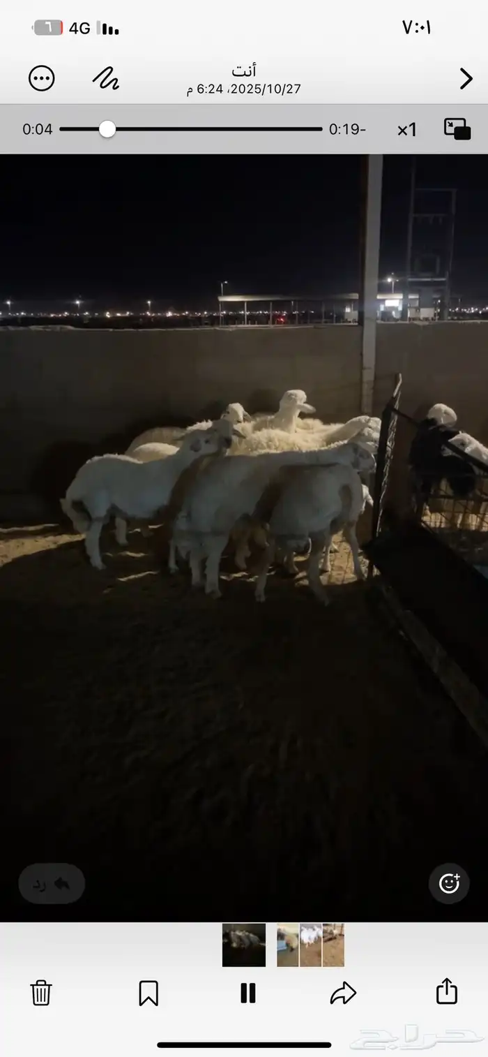 ذبايح حري ونعيمي وتيوس 68