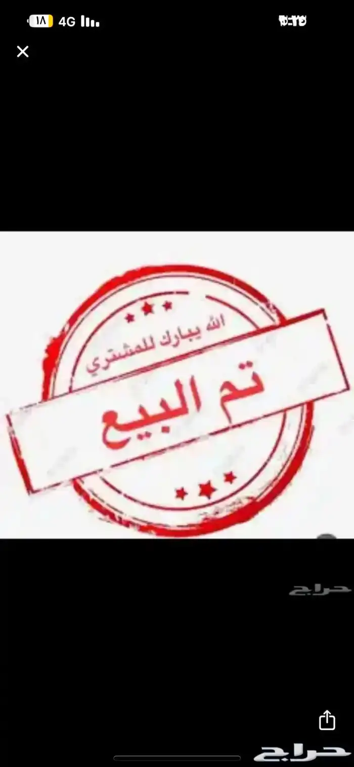 دجاج بلدي شهرين 0