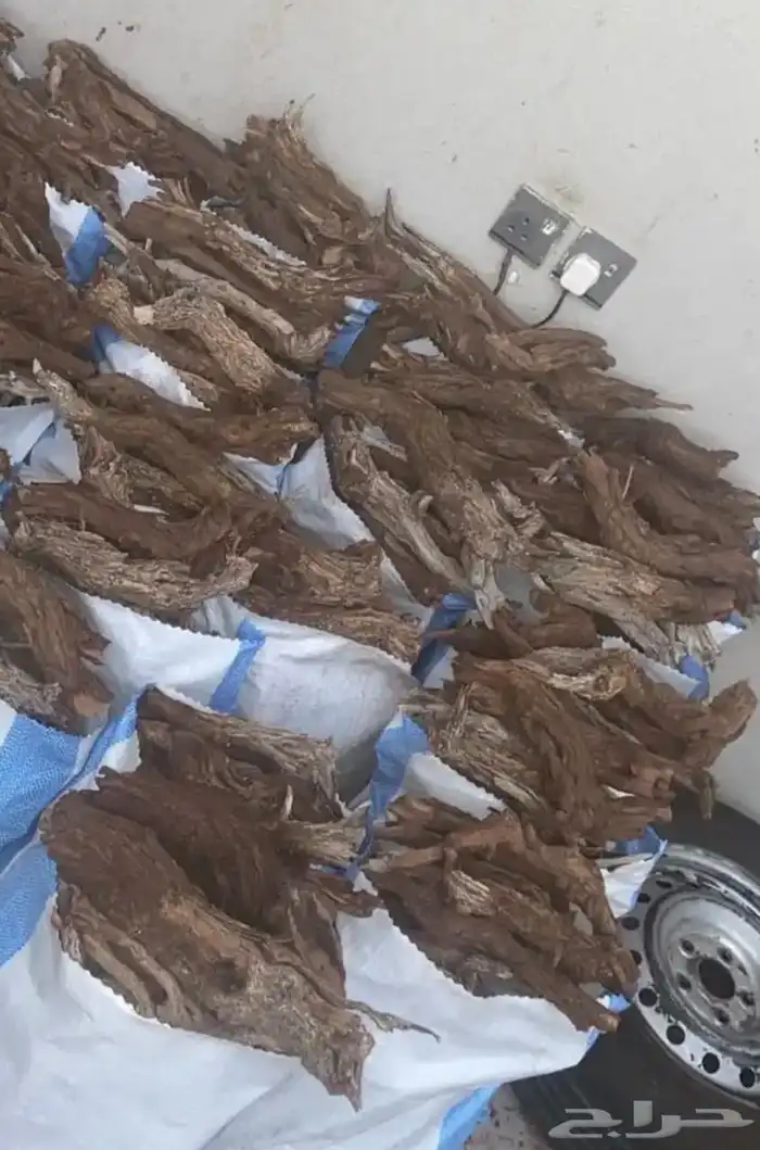 حطب مستورد و غيرة 0