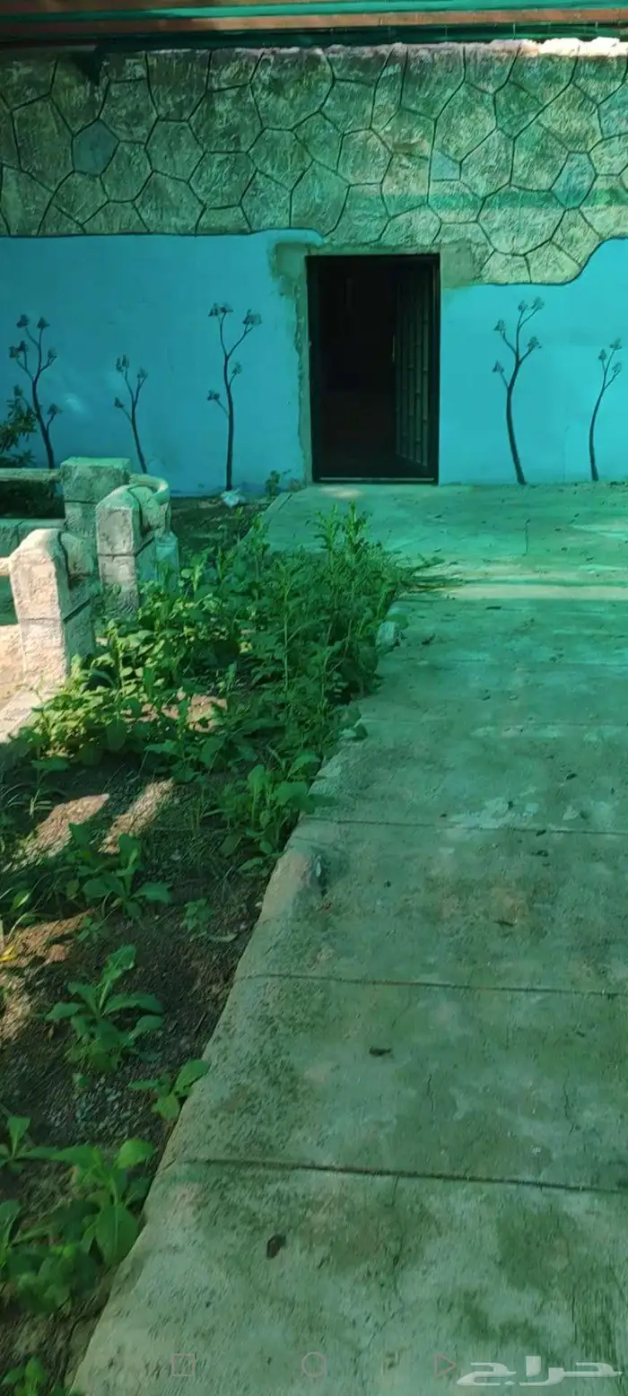 منتجع و ديوانيه ومقعي. بمساح2500 متر. للايجار محايل ترقش. 1