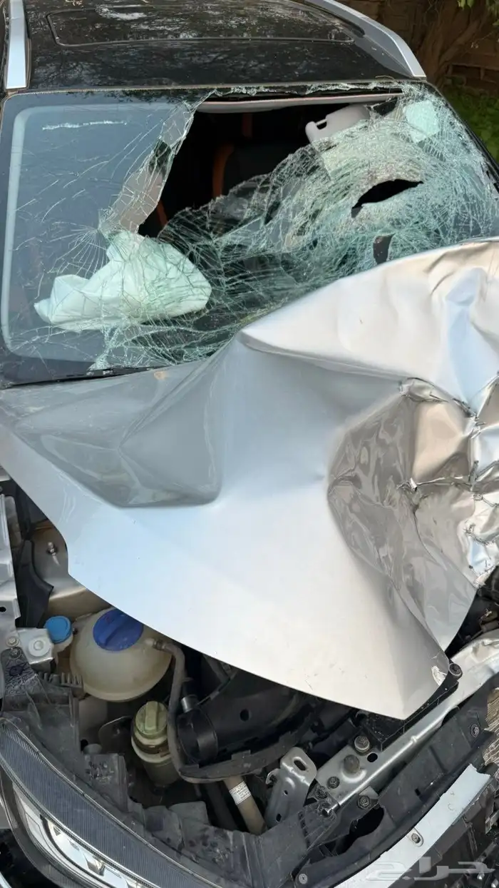 شيري تيجو برو 2 2024 5