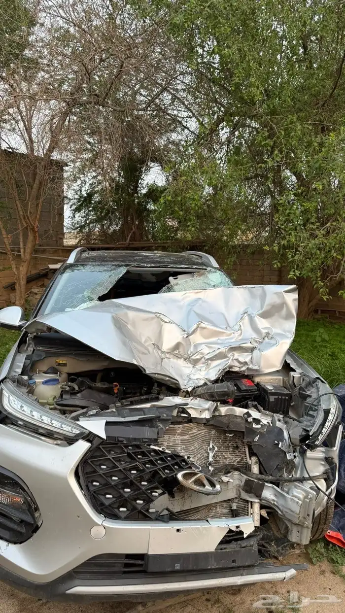 شيري تيجو برو 2 2024 6