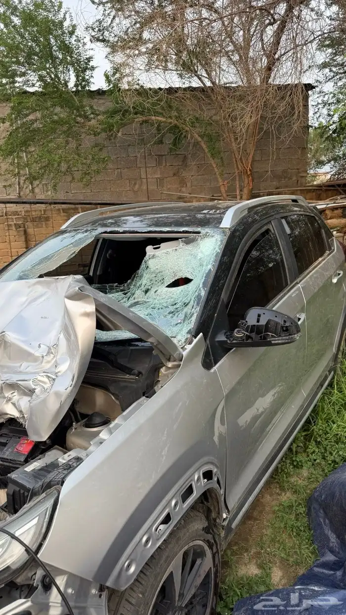 شيري تيجو برو 2 2024 2