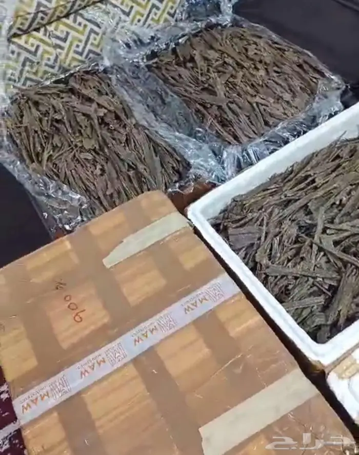 عود هندي سوبر جملة 60 كيلو 0