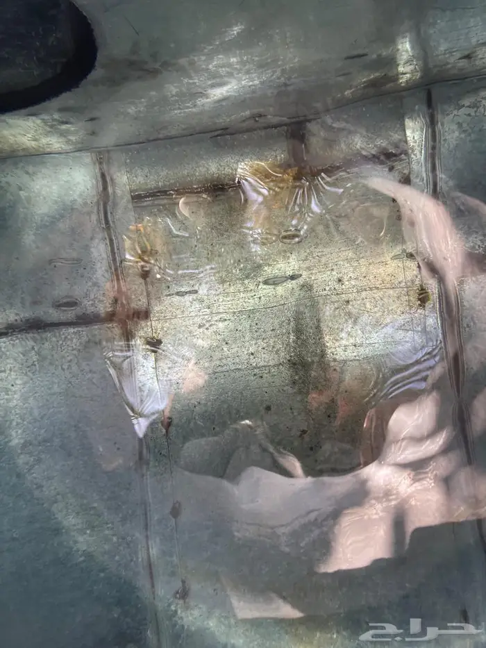 تعبئة خزانات ماء قراح صافي جدا 1