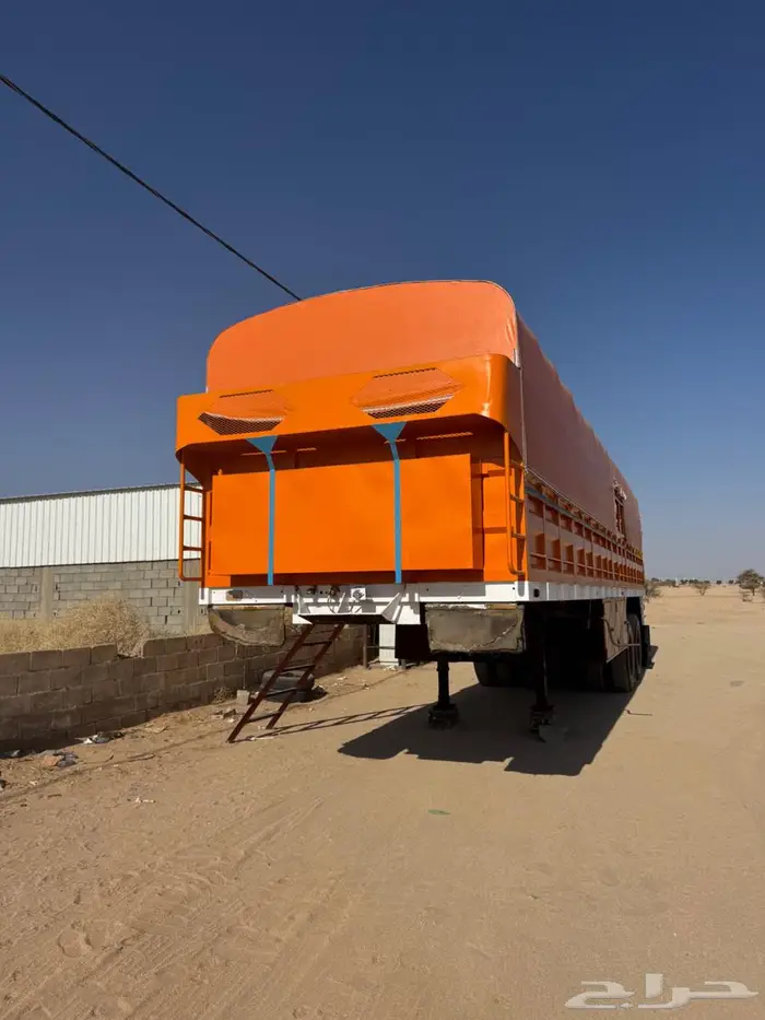 جوانب تيدر الماني 1