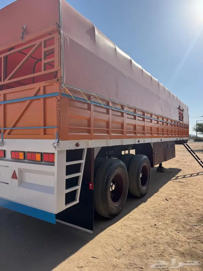 جوانب تيدر الماني 2