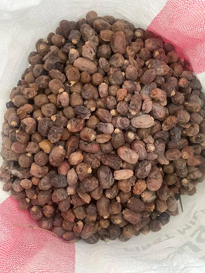 للبيع تمر علف ناشف مشكل نظيف الاحساء 2