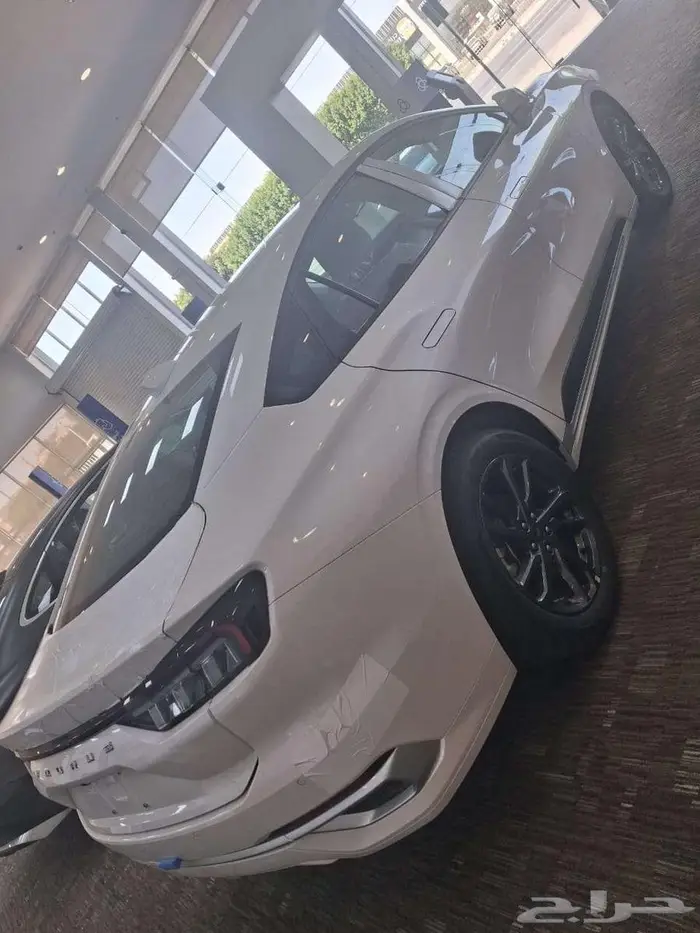 تورس تريند 1