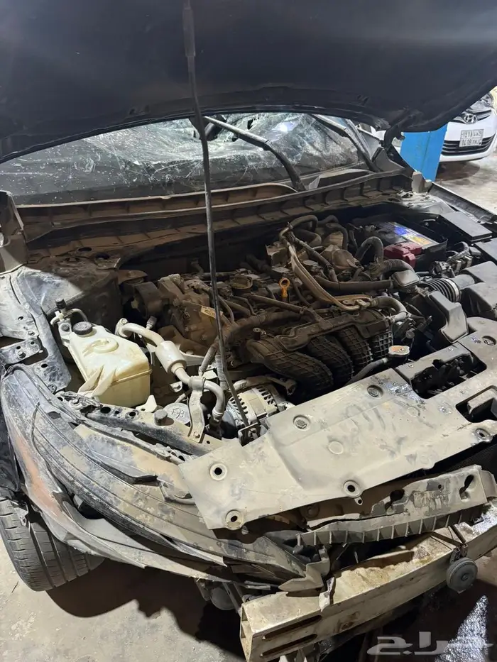 التيما 2023 مصدومة استاندر 10