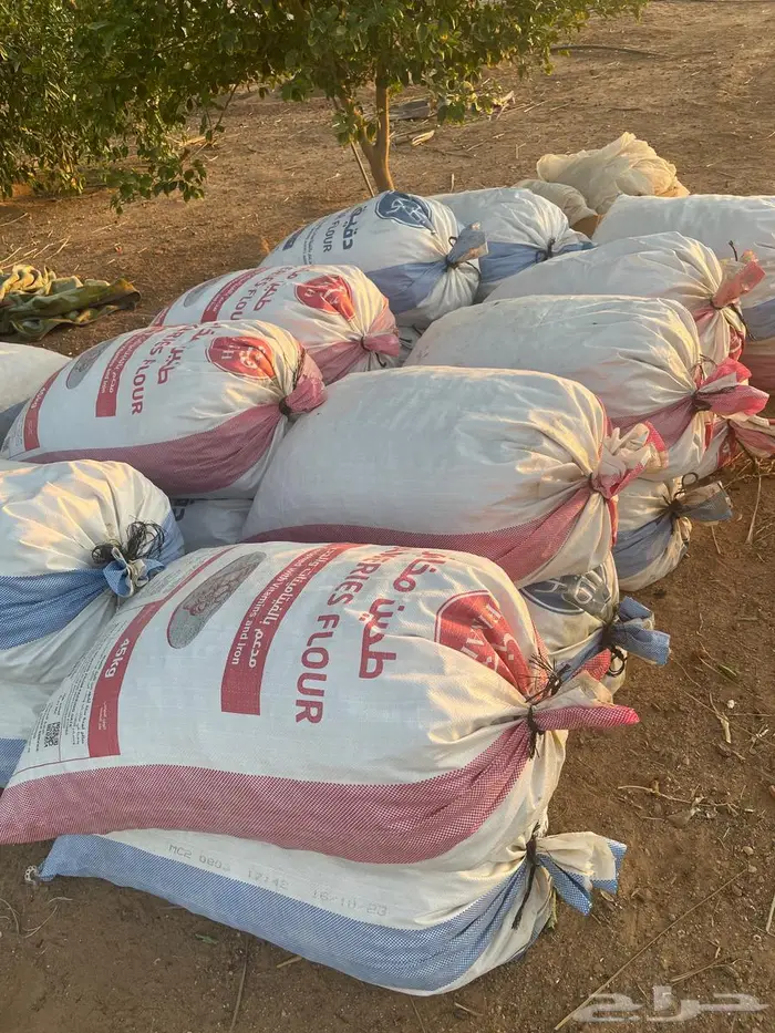 علف تمر ناشف عدد 70 كيس 0