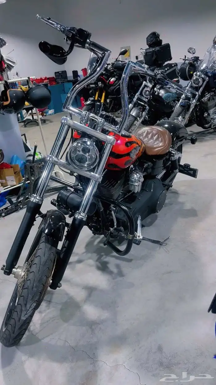 دباب هارلي 1