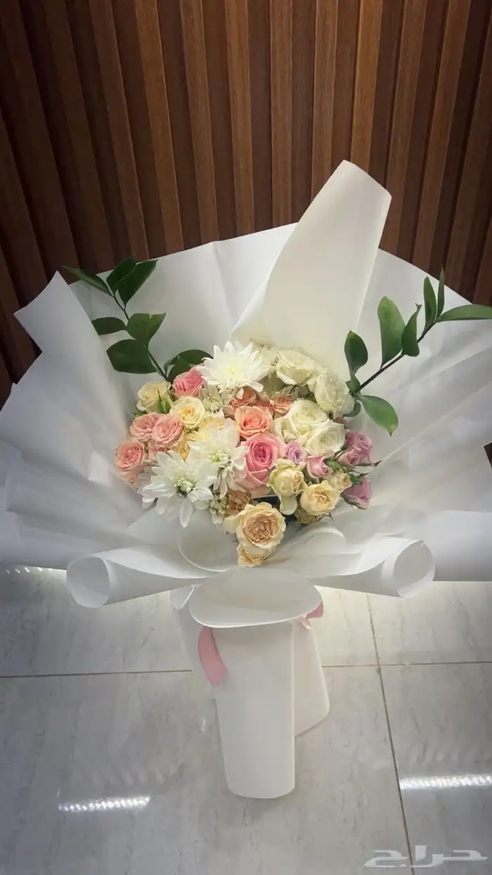 احتاج منسق ورد خبره سنتين ومافوق اقل من كذا لاتتواصل 0