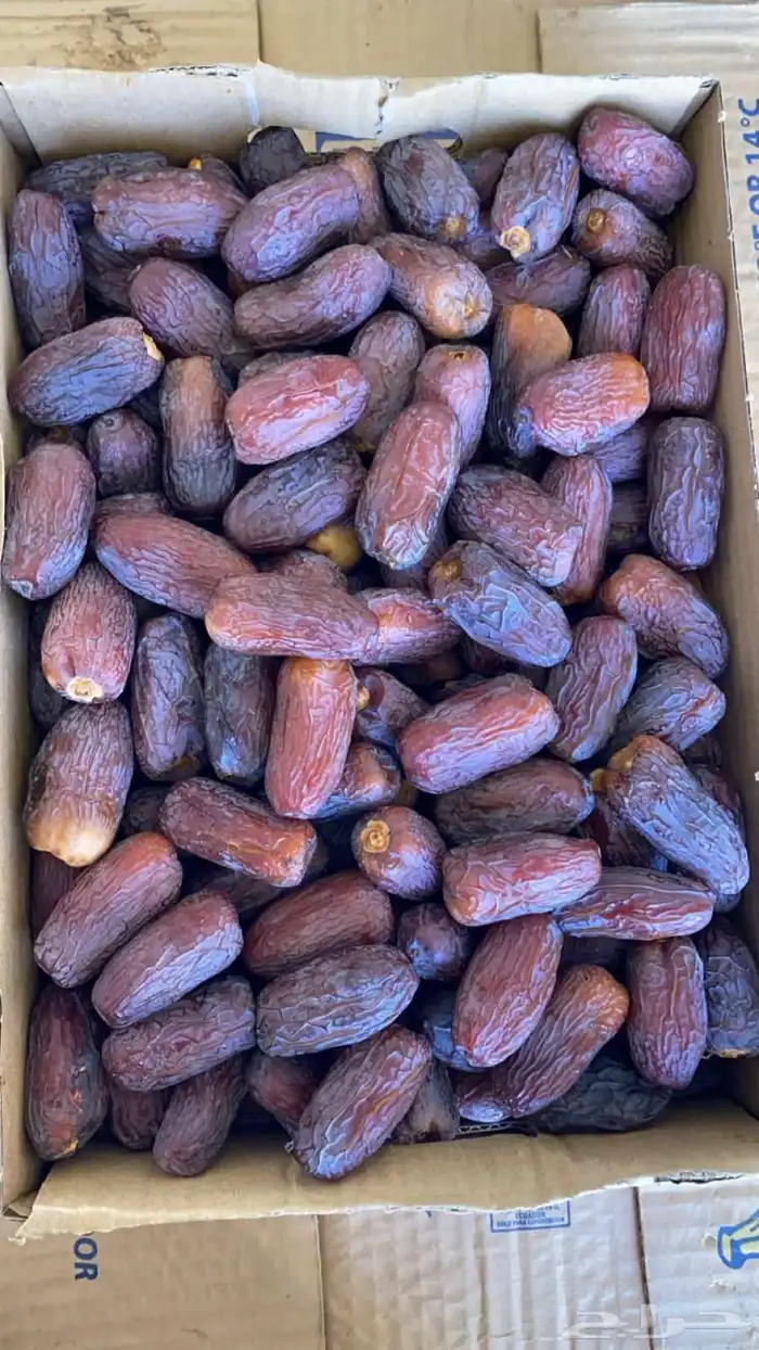 تمر مجدول من هيل و نخيل 0