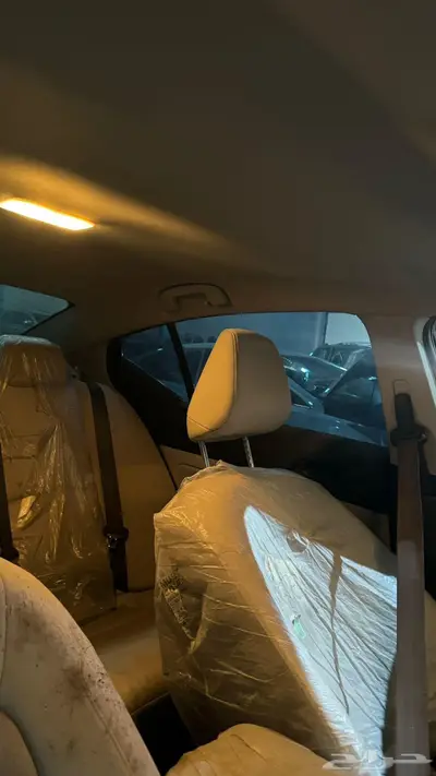 التيما 2023 مصدومة استاندر index